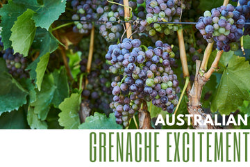 Australia's Most Exciting Grape